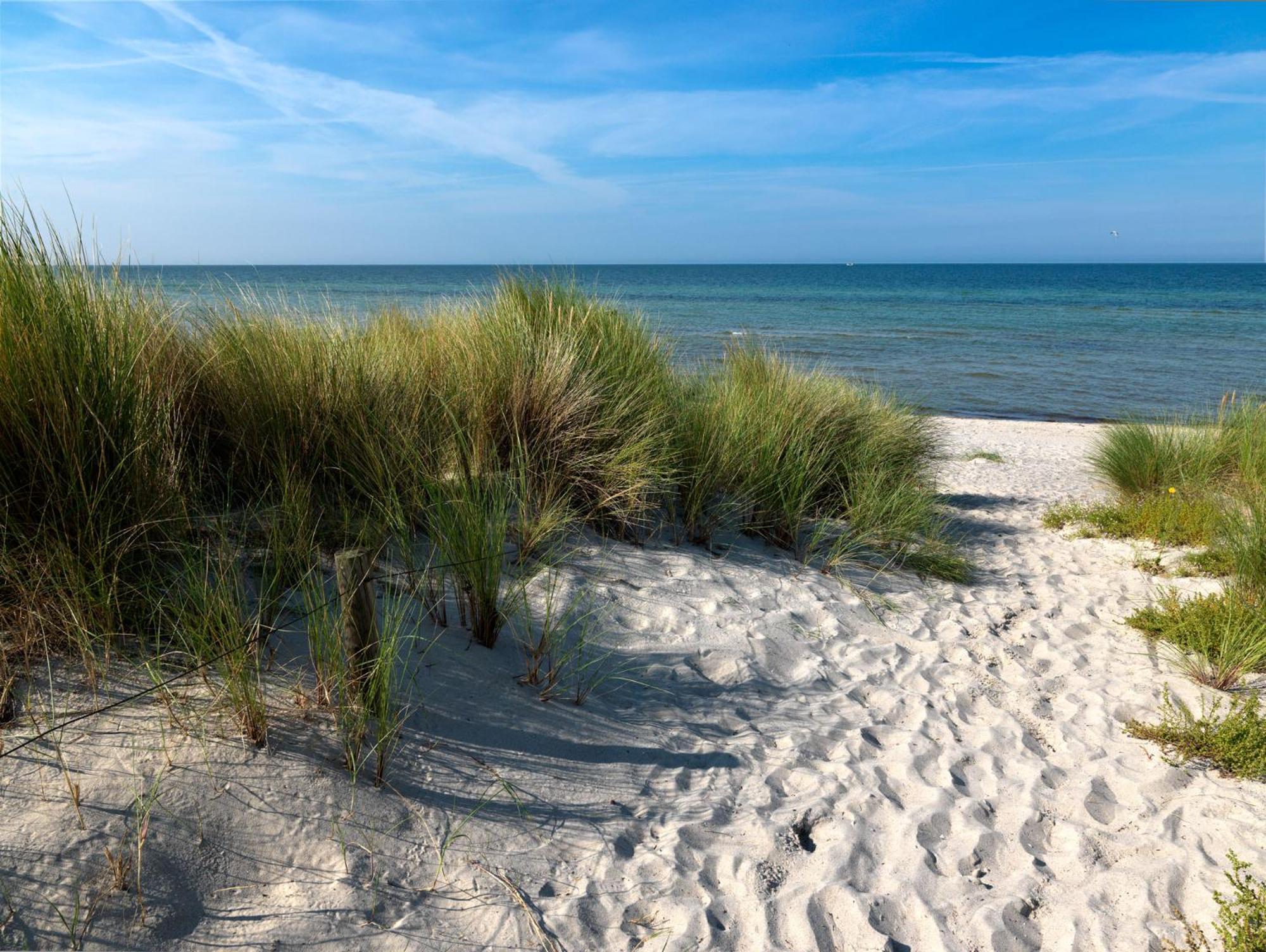 Daenische Ferienhaeuser Am Salzhaff Haus Pacific Wyspa Poel Zewnętrze zdjęcie